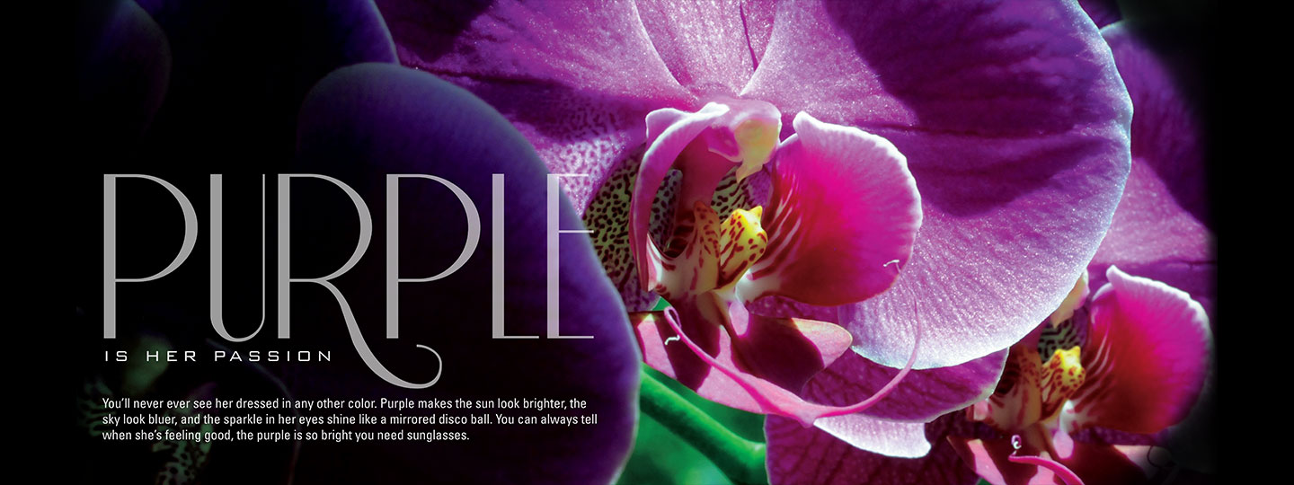 Purple Orchid Page
