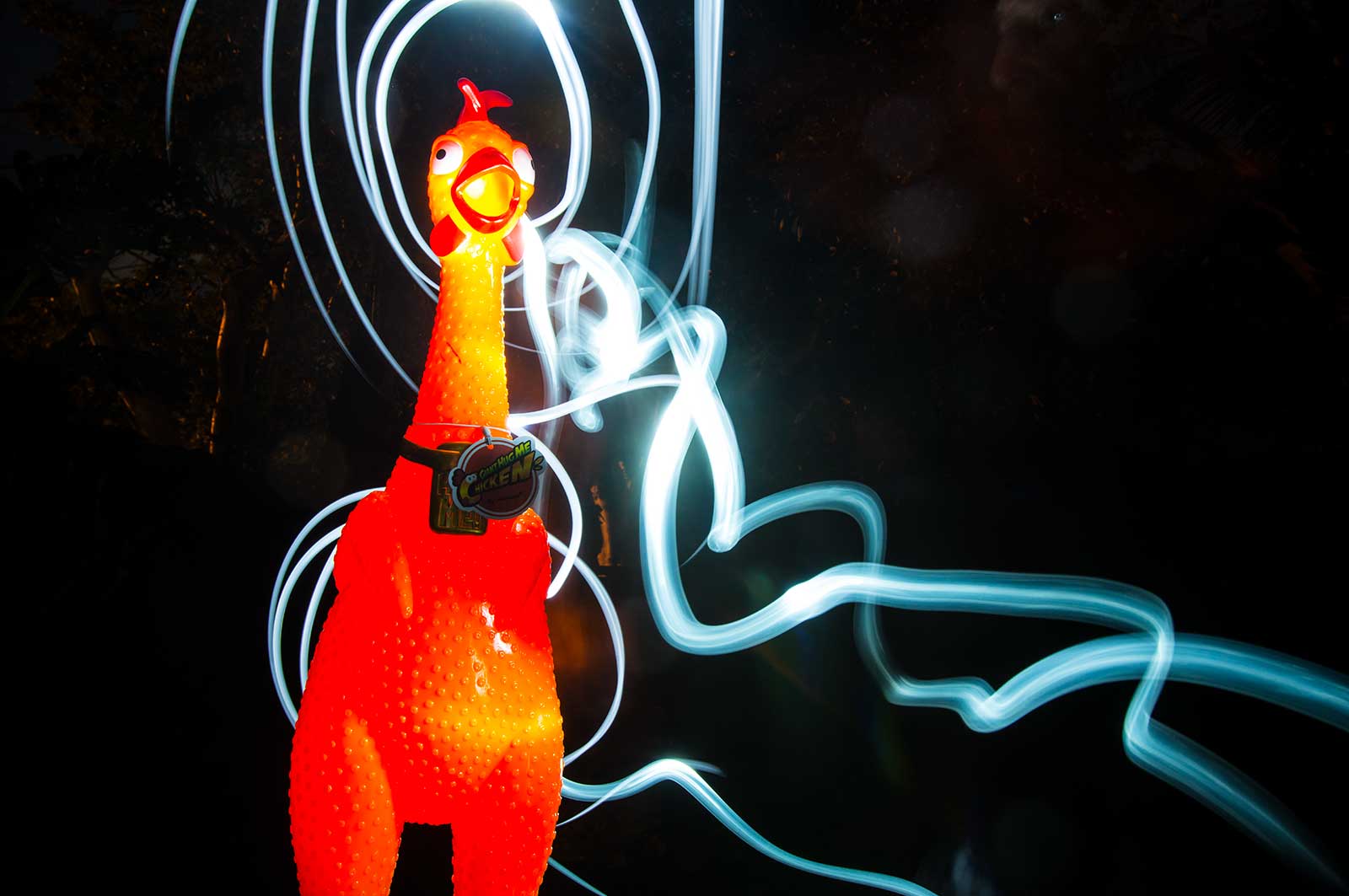 Screaming Chicken and Light Painting